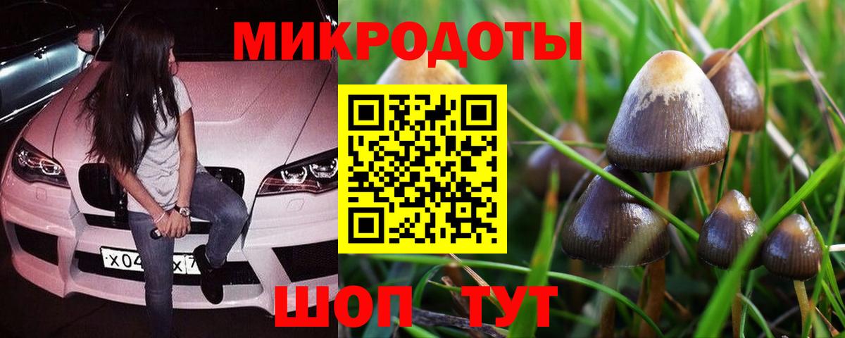Елизово  Псилоцибиновые грибы прущие грибы  Вход с VPN  Псилоцибиновые грибы прущие грибы 