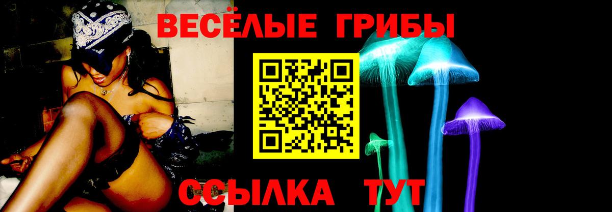 Псилоцибиновые грибы Psilocybe Елизово